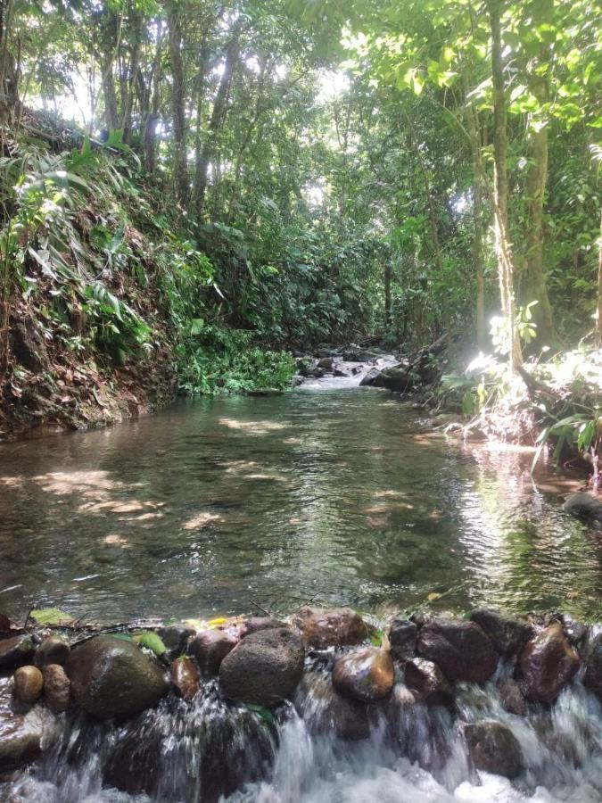 La Fortuna Natural Green Bagian luar foto