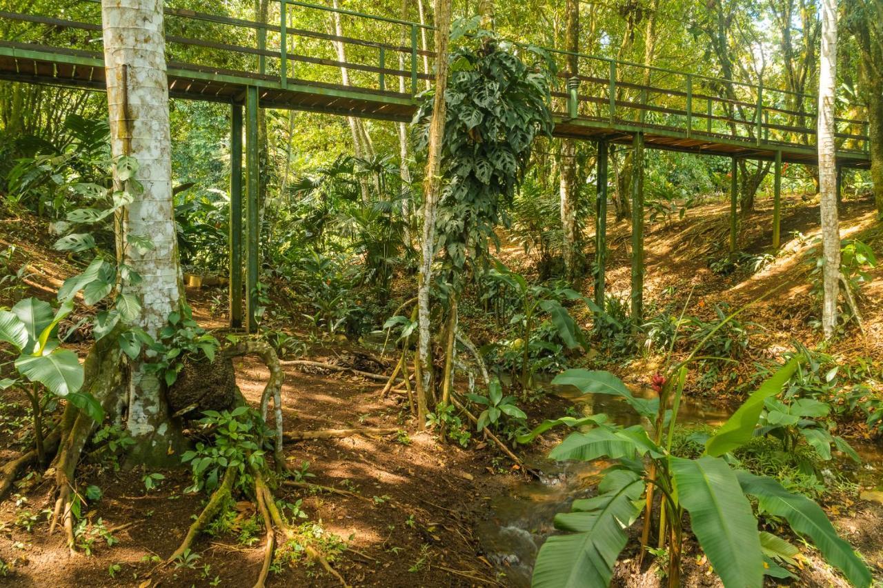 La Fortuna Natural Green Bagian luar foto