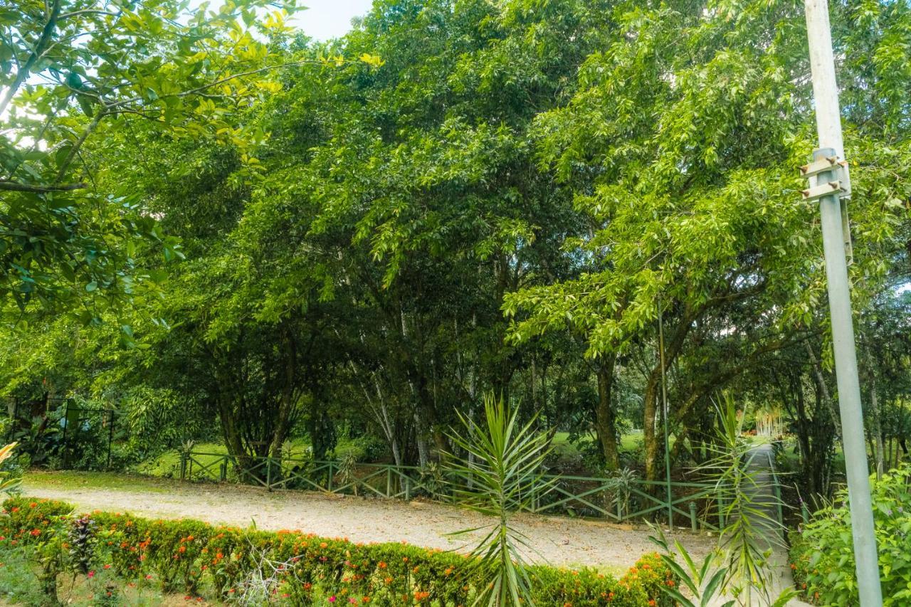 La Fortuna Natural Green Bagian luar foto